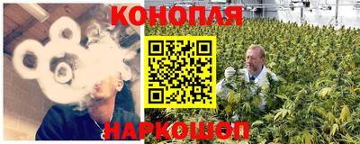 индика Новозыбков