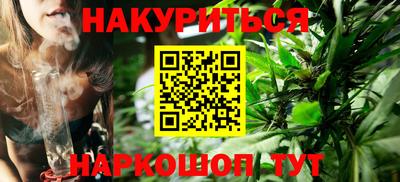 сатива Новокубанск
