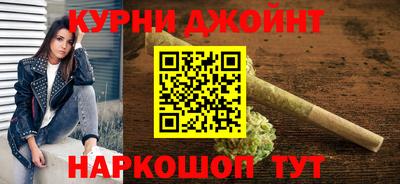 индика Новозыбков