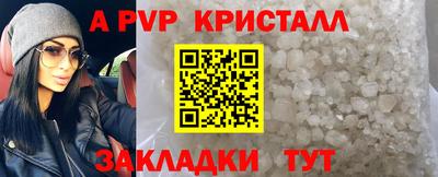индика Новозыбков