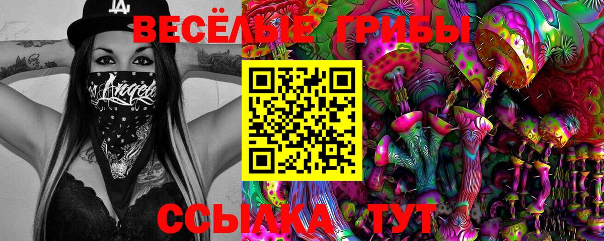 Псилоцибиновые грибы мухоморы Братск