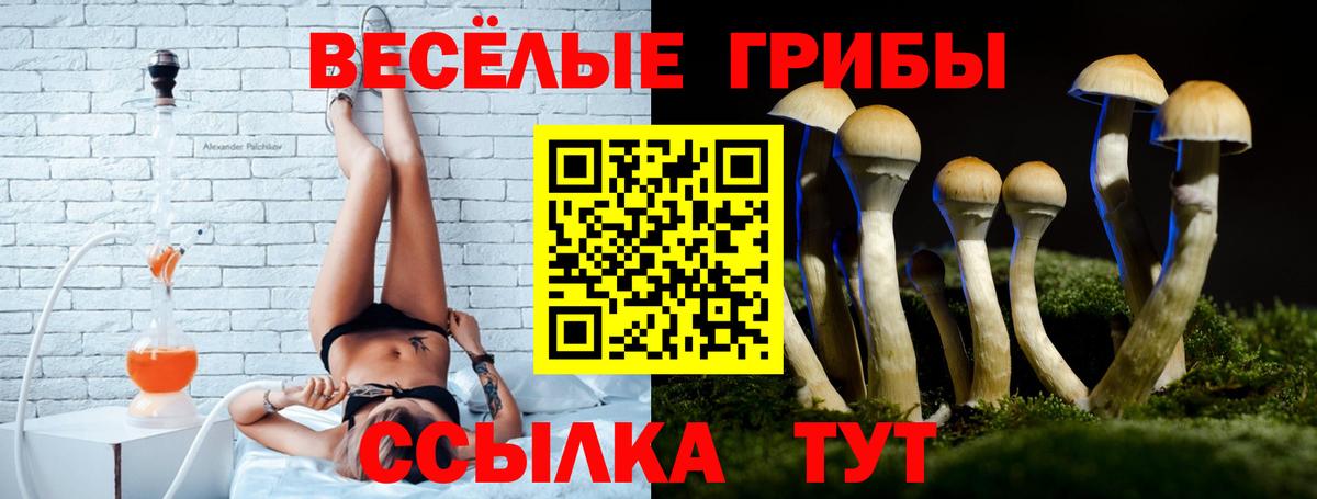 Братск  Псилоцибиновые грибы мухоморы  Вход с VPN 